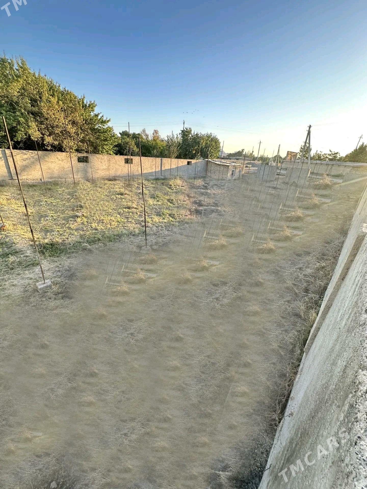 Alañ depede daça 12 sotuk. - Ýolöten - img 5