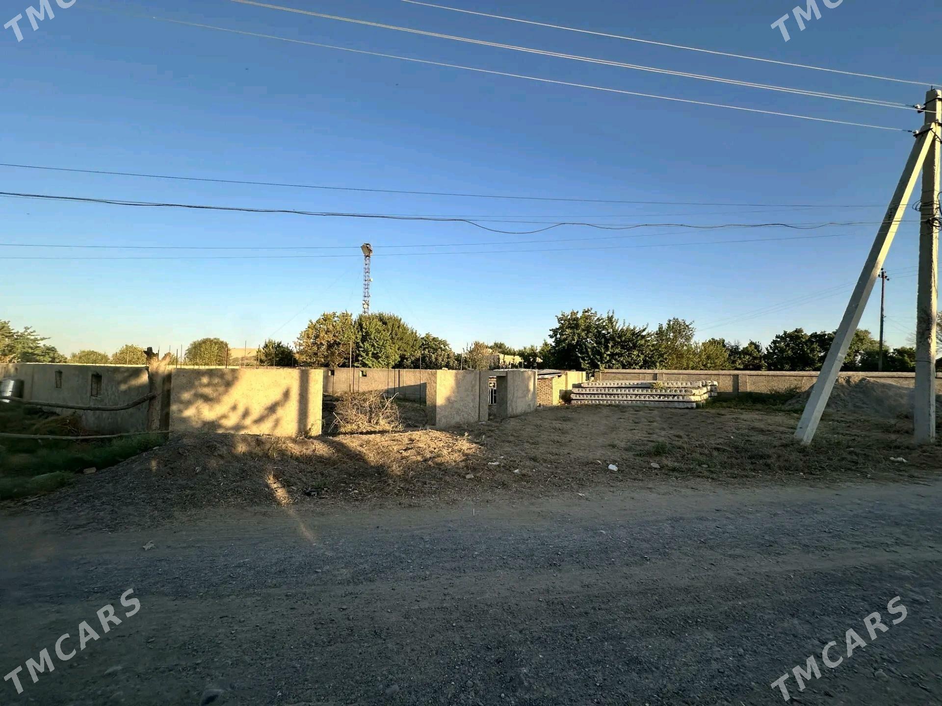 Alañ depede daça 12 sotuk. - Ýolöten - img 3