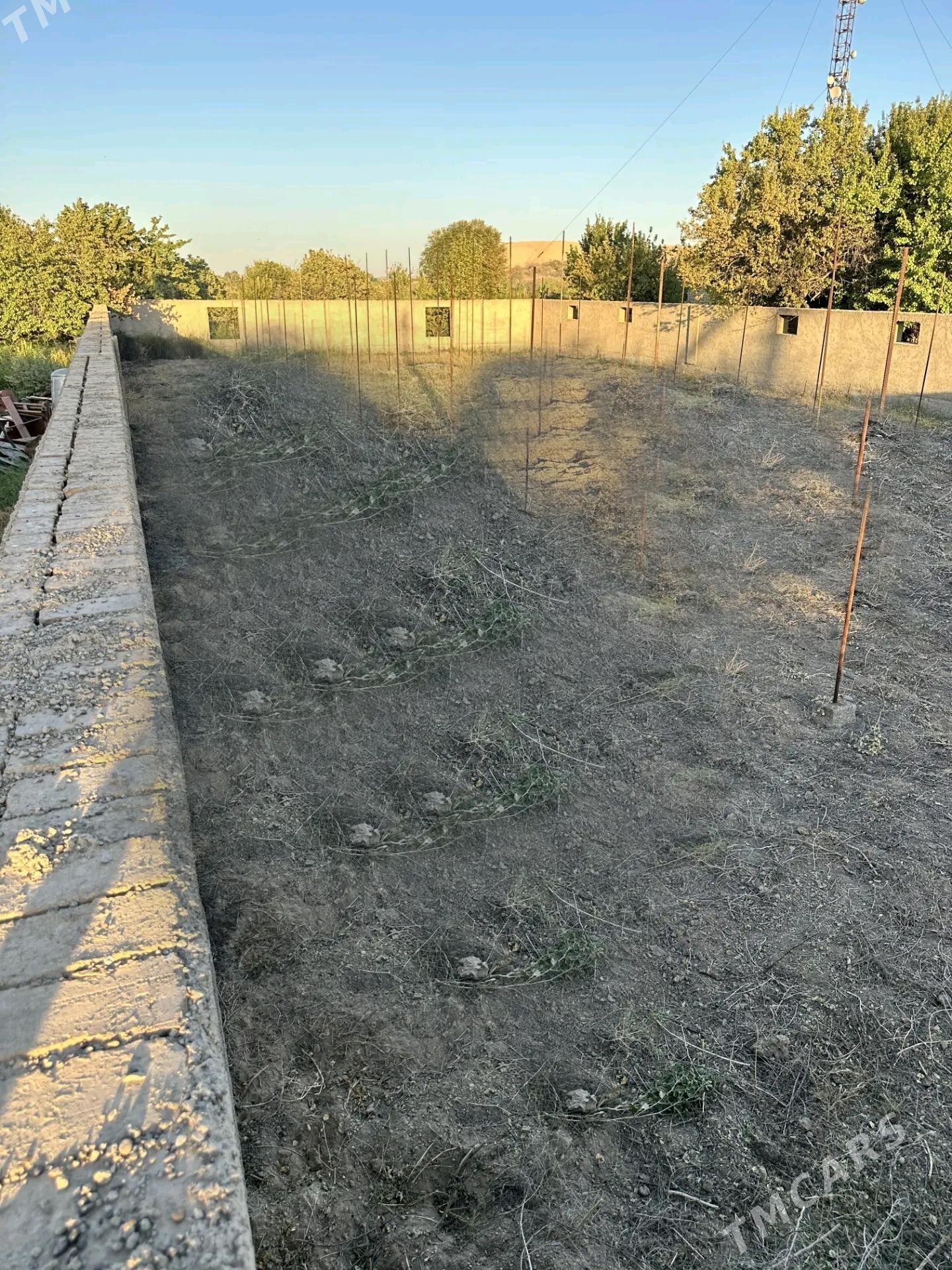 Alañ depede daça 12 sotuk. - Ýolöten - img 6