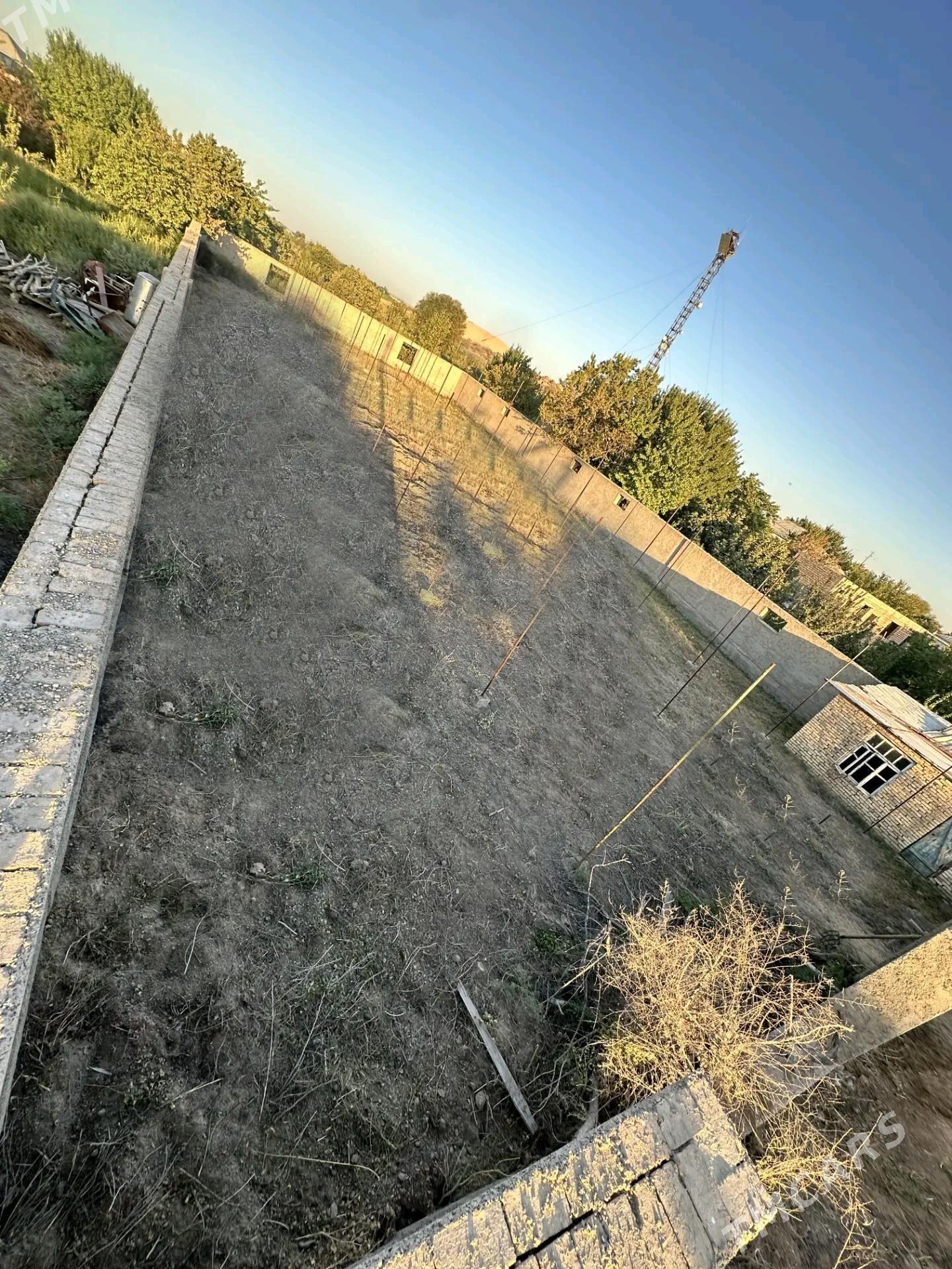 Alañ depede daça 12 sotuk. - Ýolöten - img 4