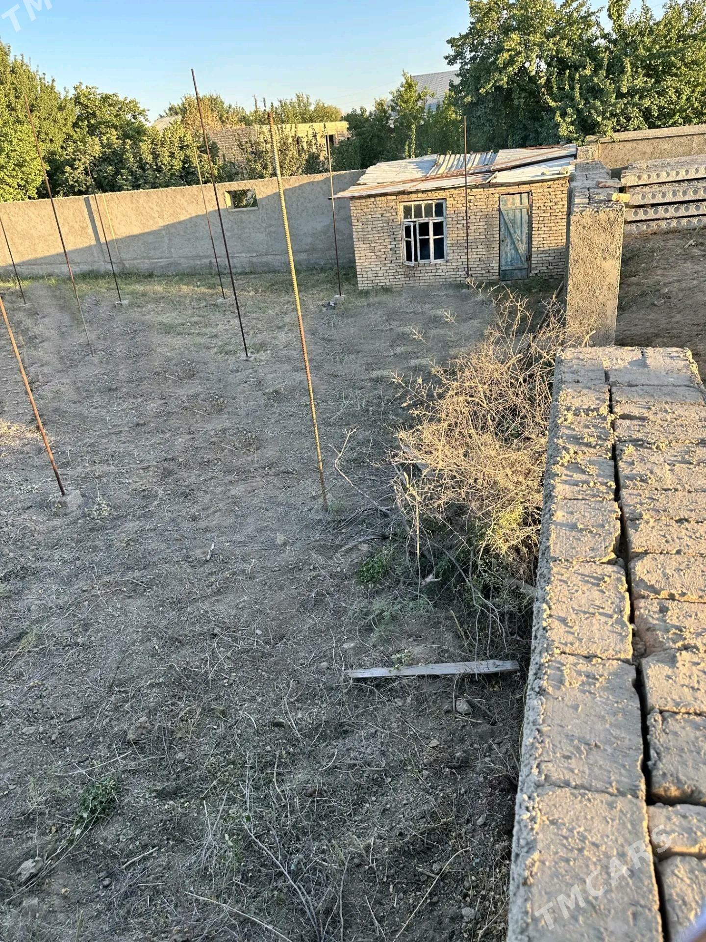 Alañ depede daça 12 sotuk. - Ýolöten - img 2