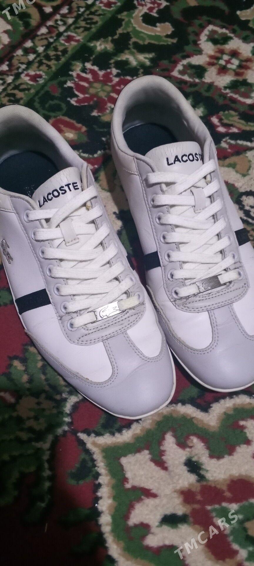 krasowka lakoste 42 - Çärjew - img 2