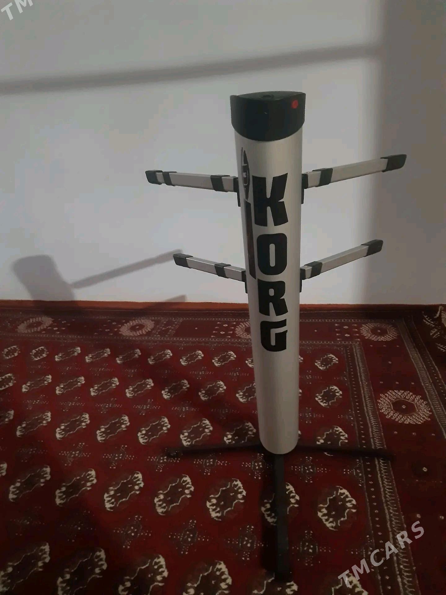 Pauk stoýka - Daşoguz - img 1