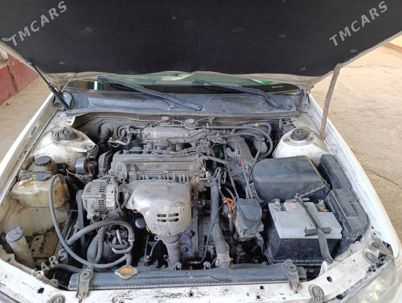 Toyota Camry 2000 - 128 000 TMT - Теджен - img 8