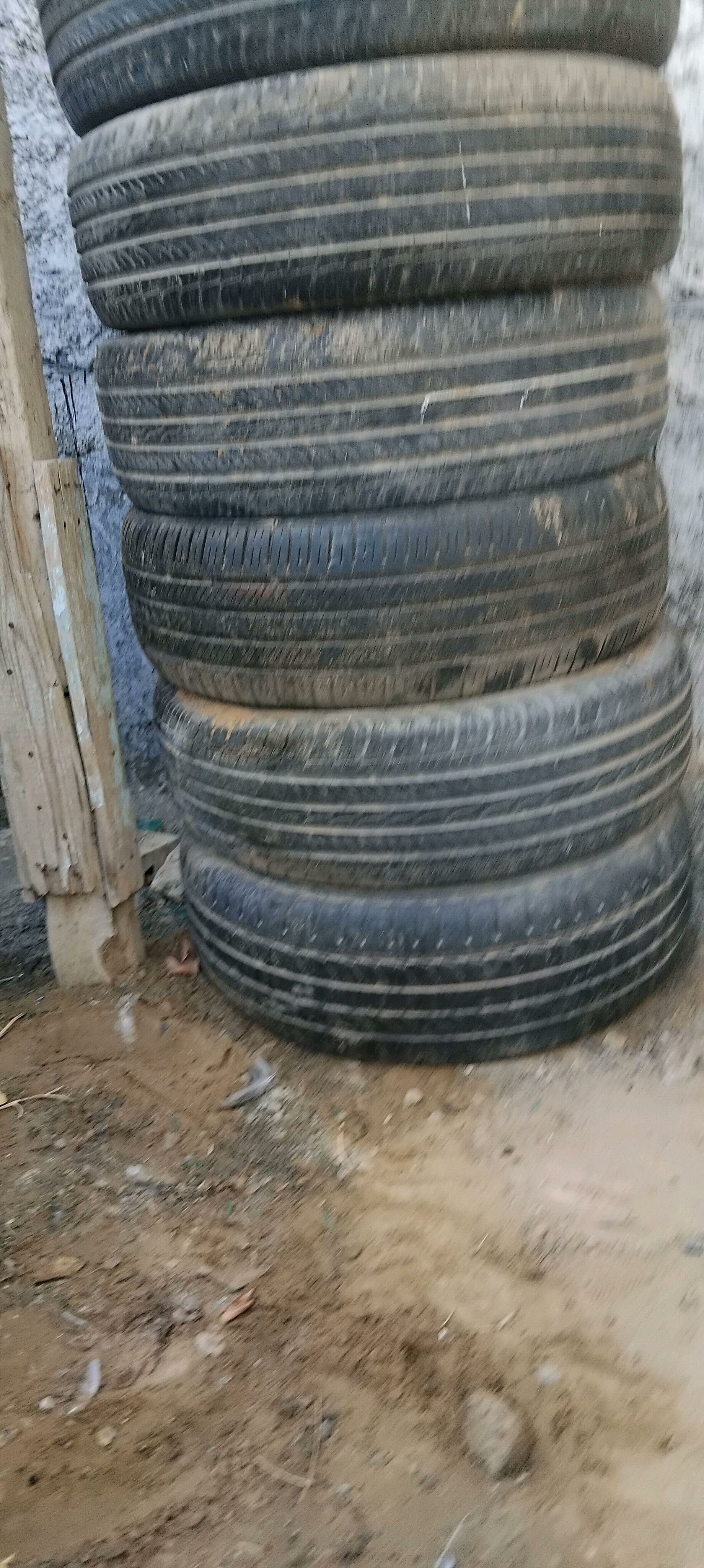 Teker 300 TMT - Aşgabat - img 3