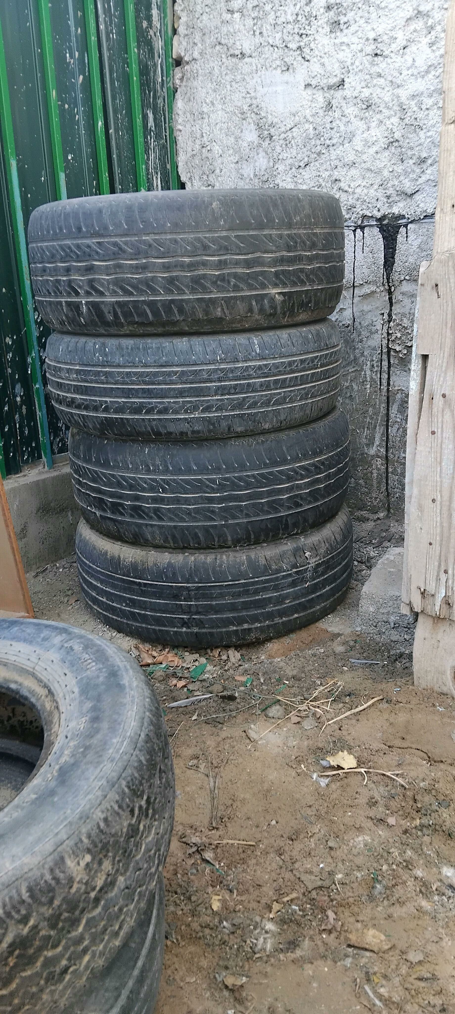 Teker 300 TMT - Aşgabat - img 2