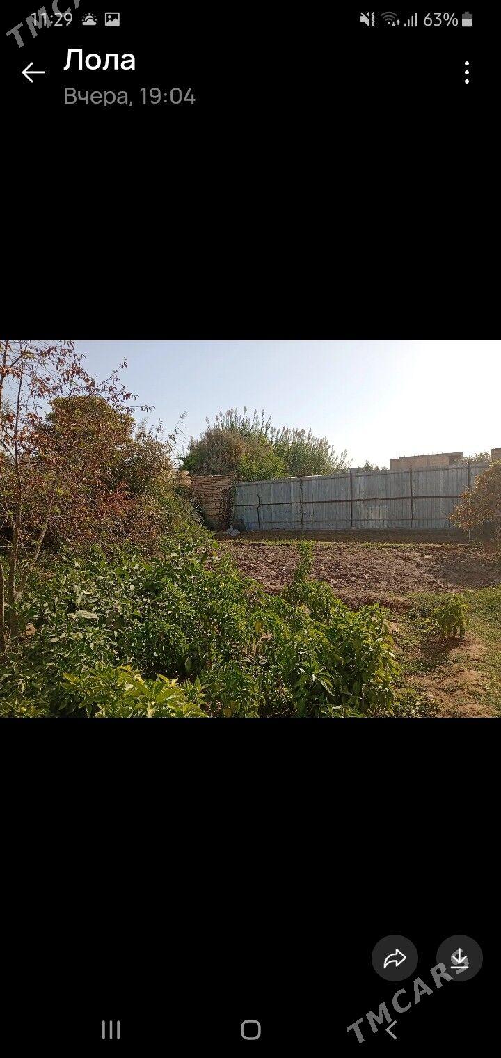 дача - Türkmenabat - img 3