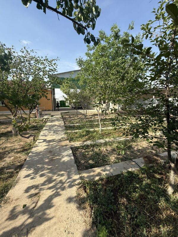 ЯНБАШ8-сотокПл.дом - Янбаш - img 2