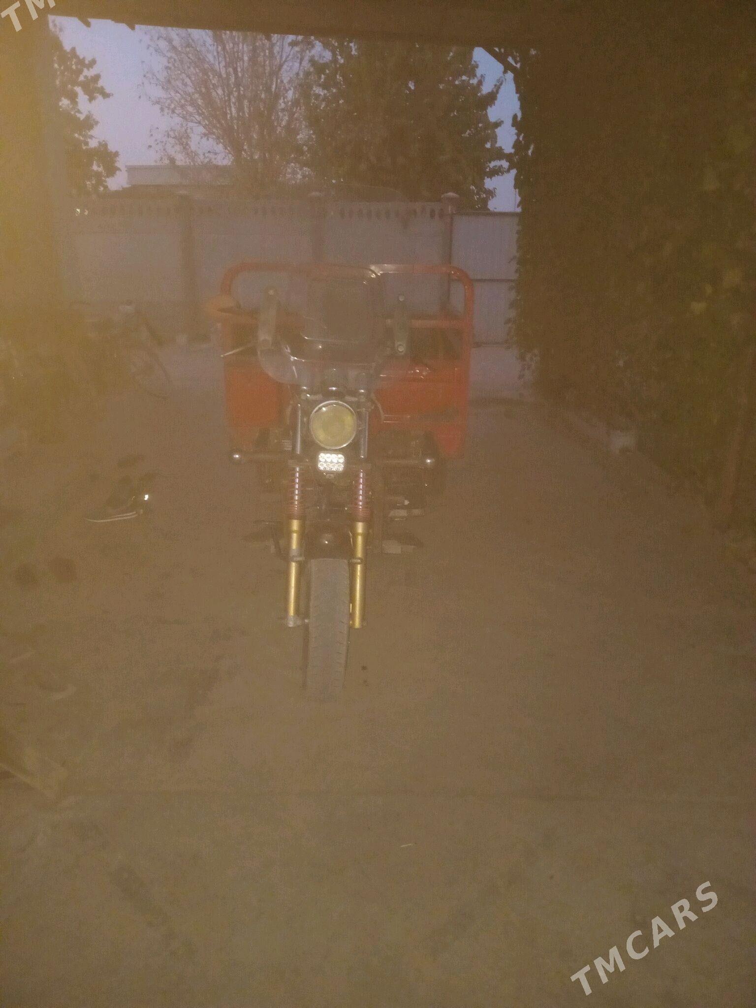 MTZ T-28 2014 - 17 000 TMT - Sakarçäge - img 2