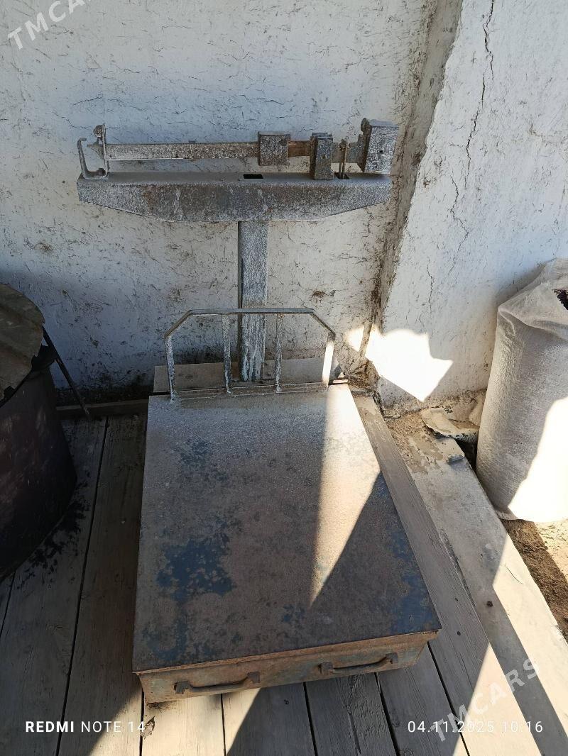 TEREZI - етр. Туркменбаши - img 1