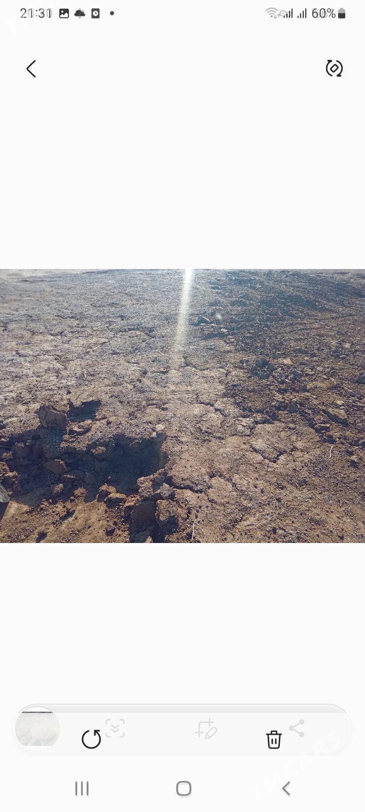 deris ýeri cogany - Ашхабад - img 2