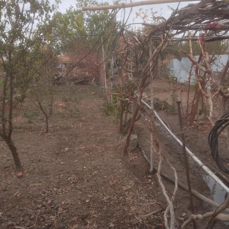 Сатлык затон дача - Туркменабат - img 4