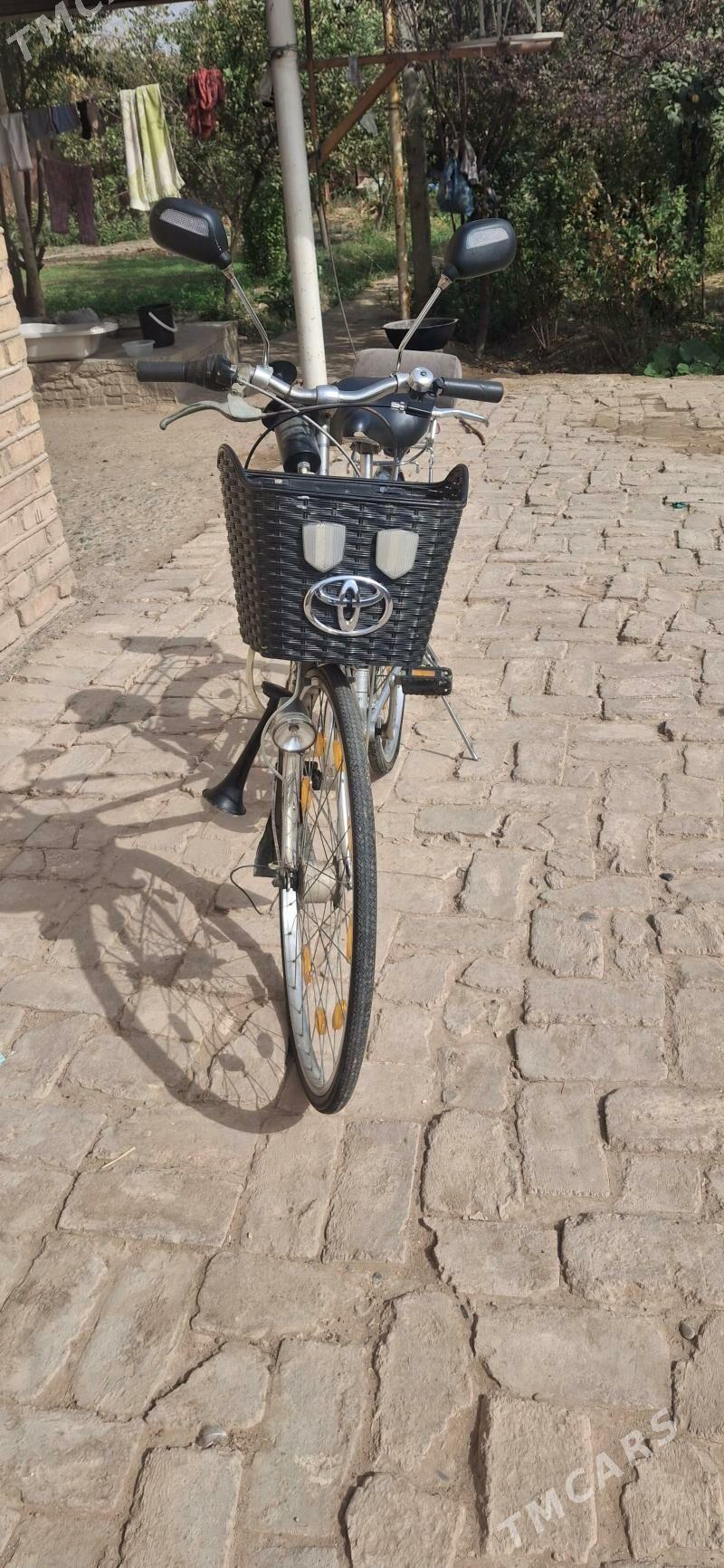 Welsepid 27 - Мары - img 2