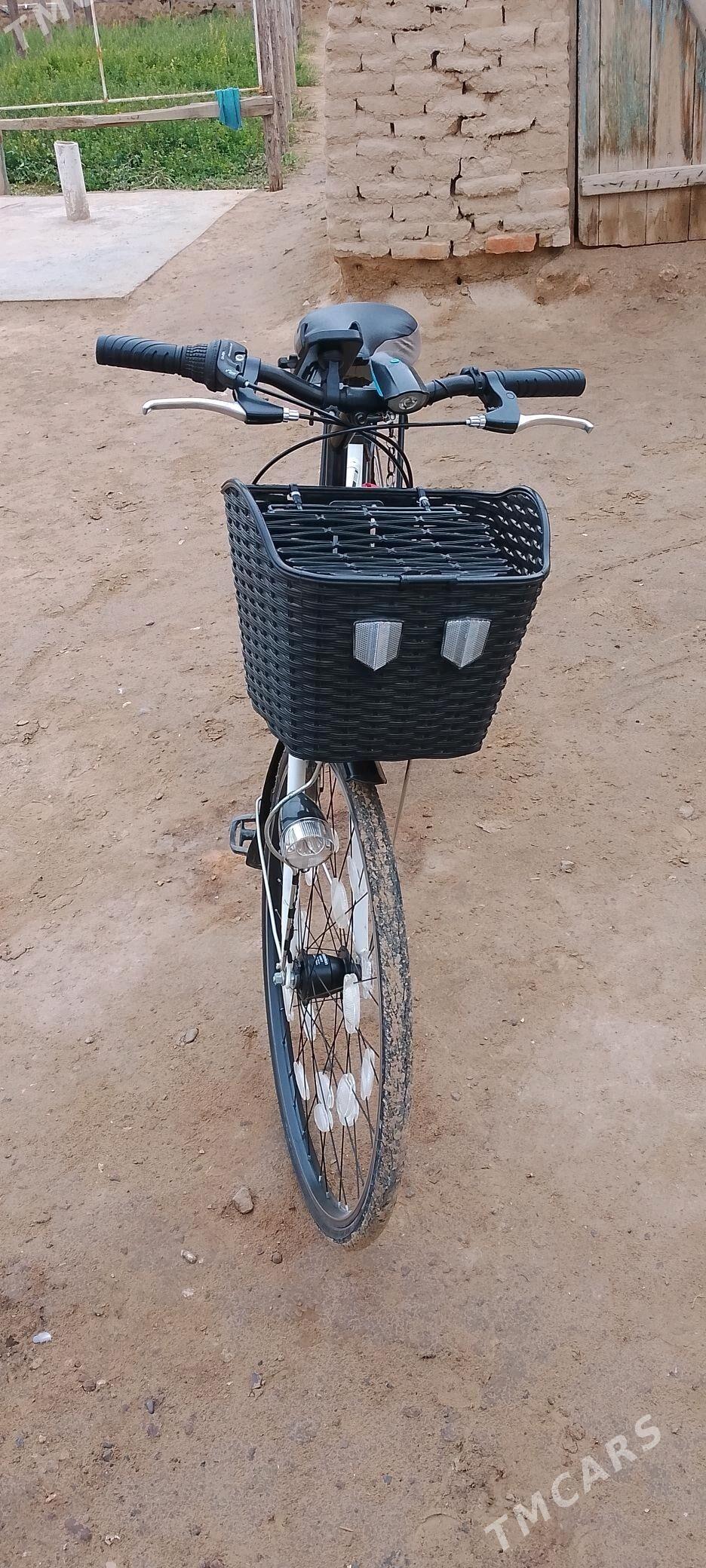 welik - Сакарчага - img 3