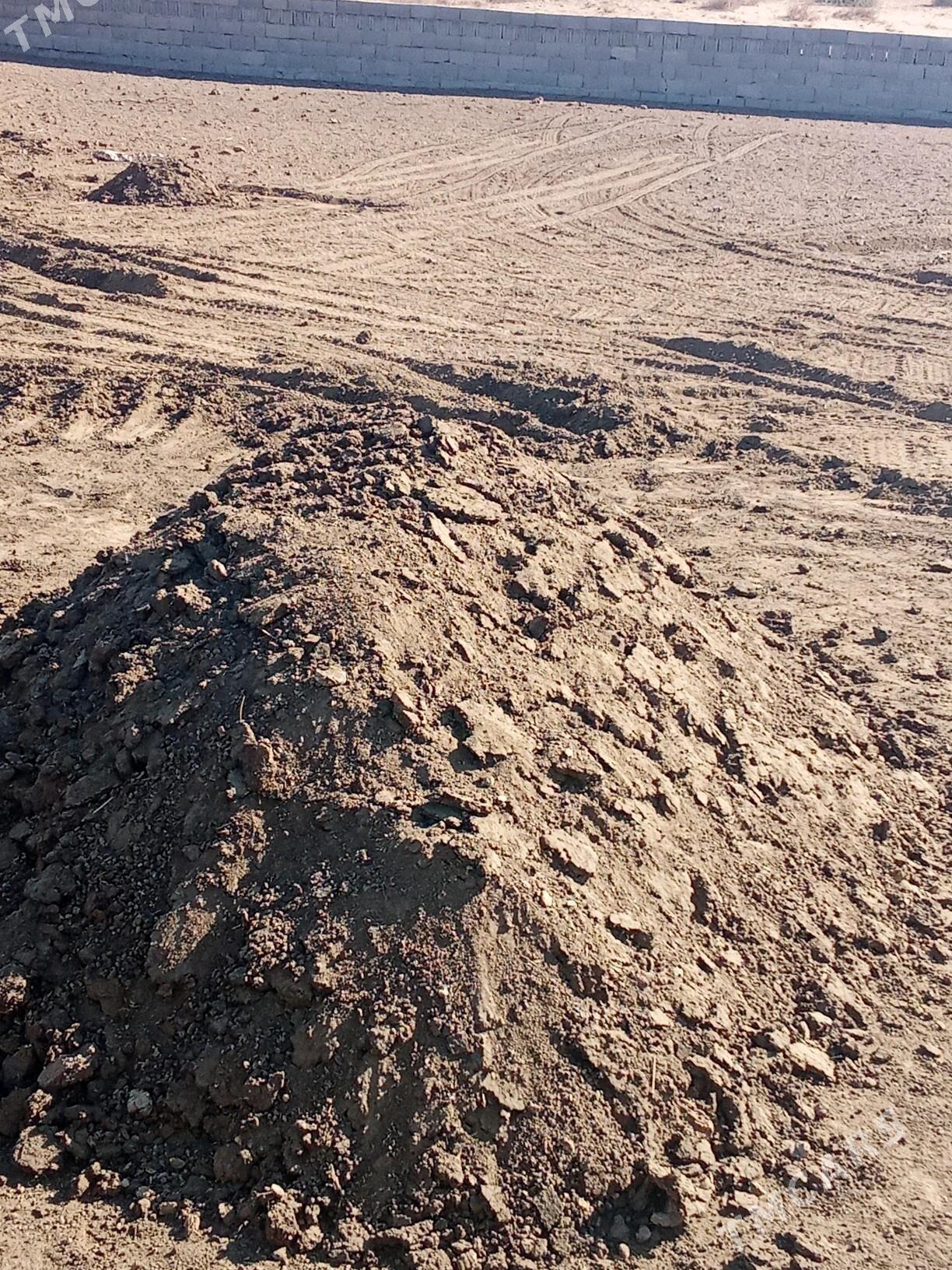 goyun ders arassa - Bäherden - img 1