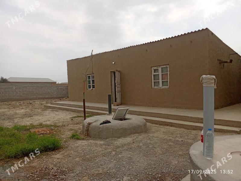 Baherden howly - Bäherden - img 3