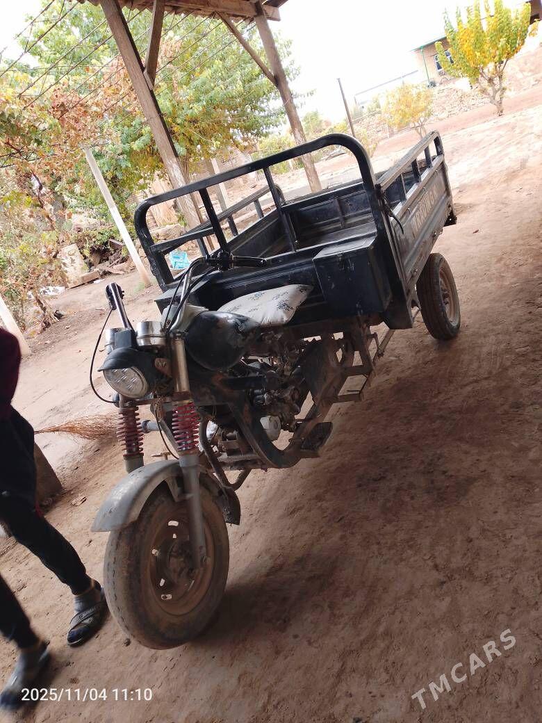 Ozan 200CC 2013 - 14 000 TMT - Halaç - img 5