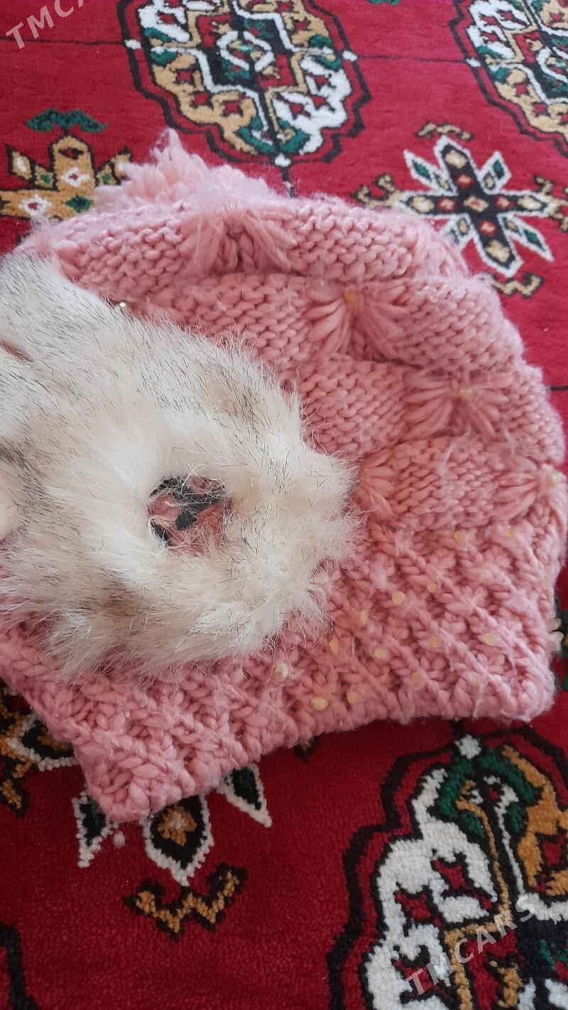 şapka yun galynja - Ашхабад - img 3