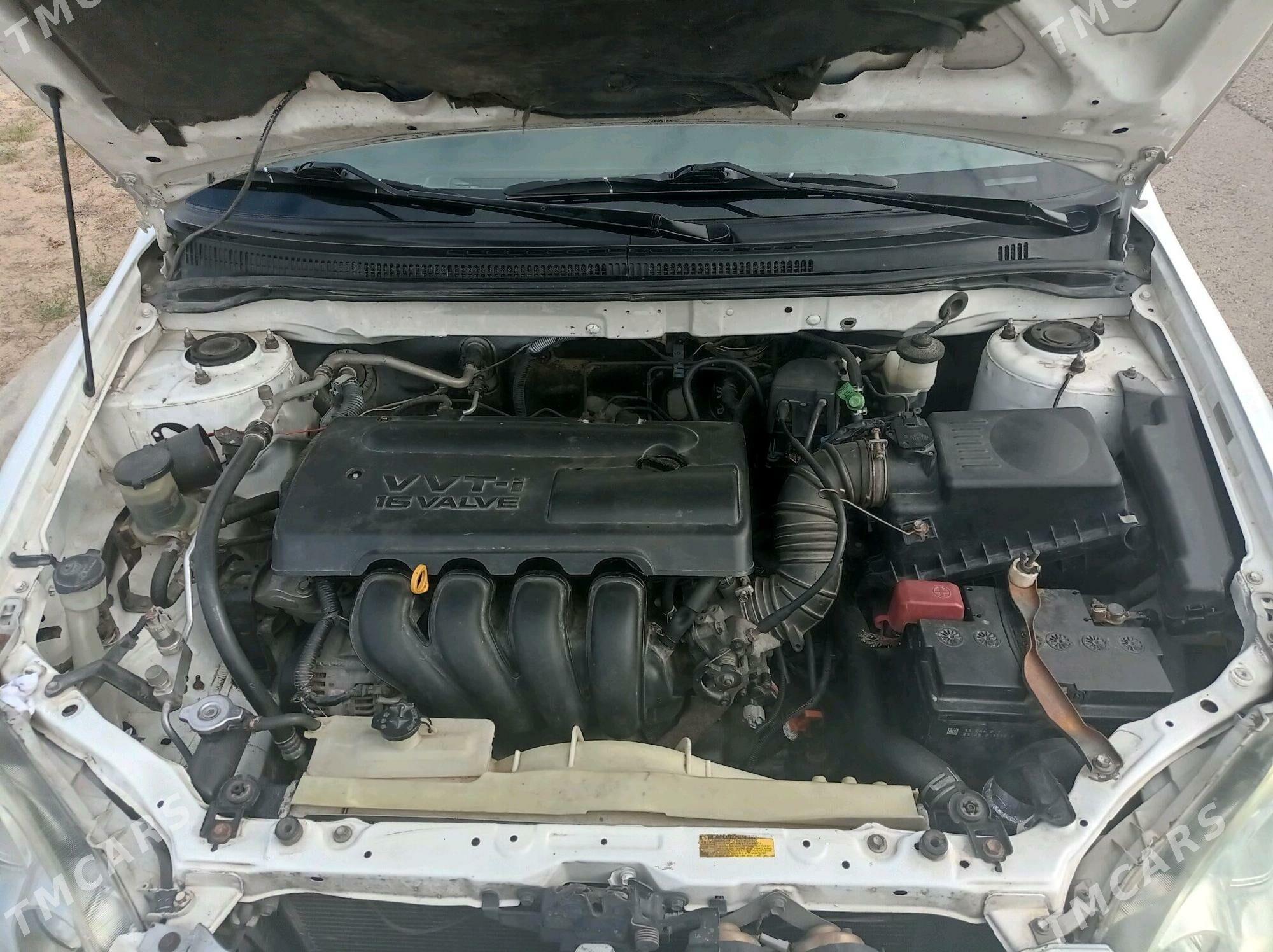 Toyota Corolla 2003 - 135 000 TMT - Türkmenbaşy - img 1