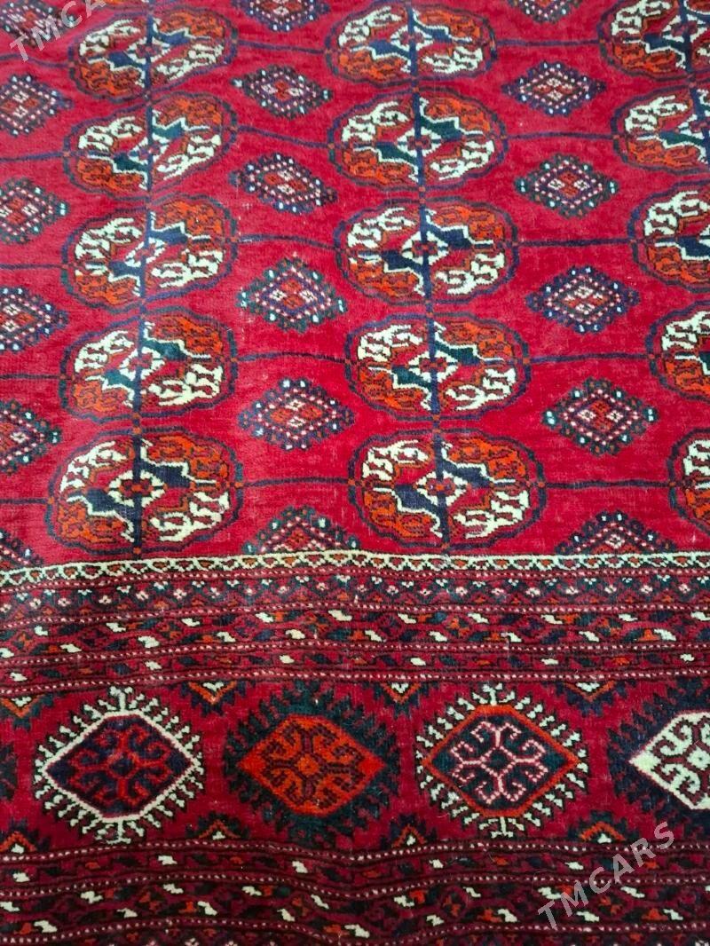 El Haly (artel) - Aşgabat - img 1