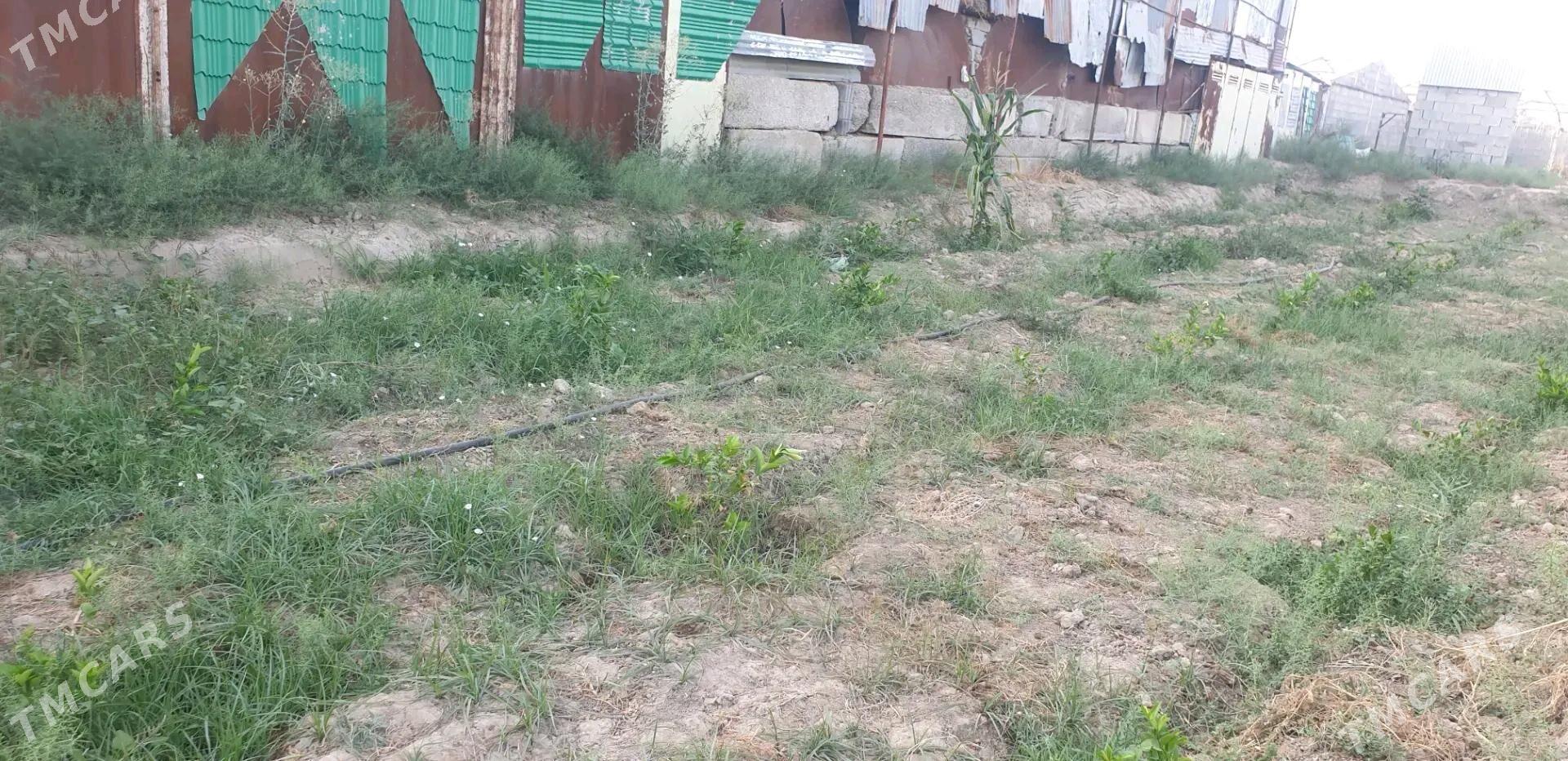 satlyk jaý - Gökdepe - img 5