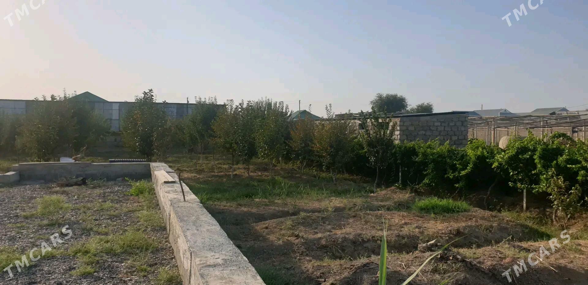 satlyk jaý - Gökdepe - img 2