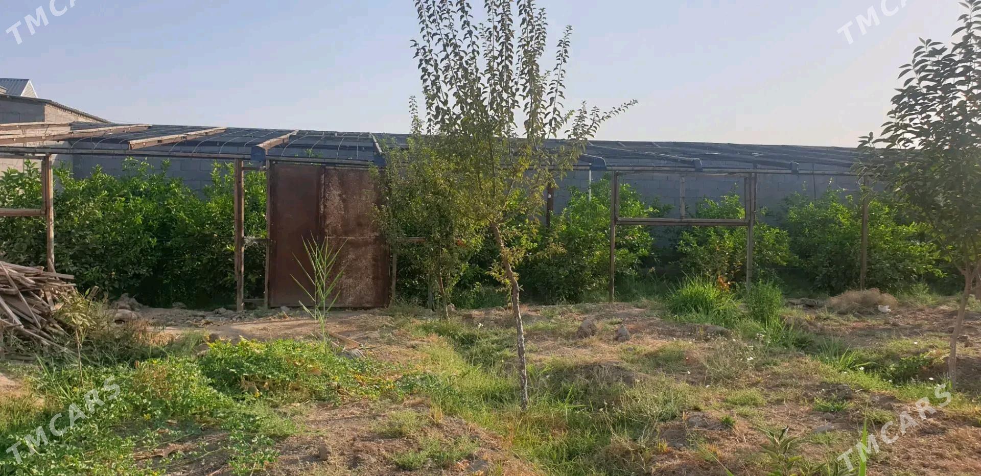 satlyk jaý - Gökdepe - img 11