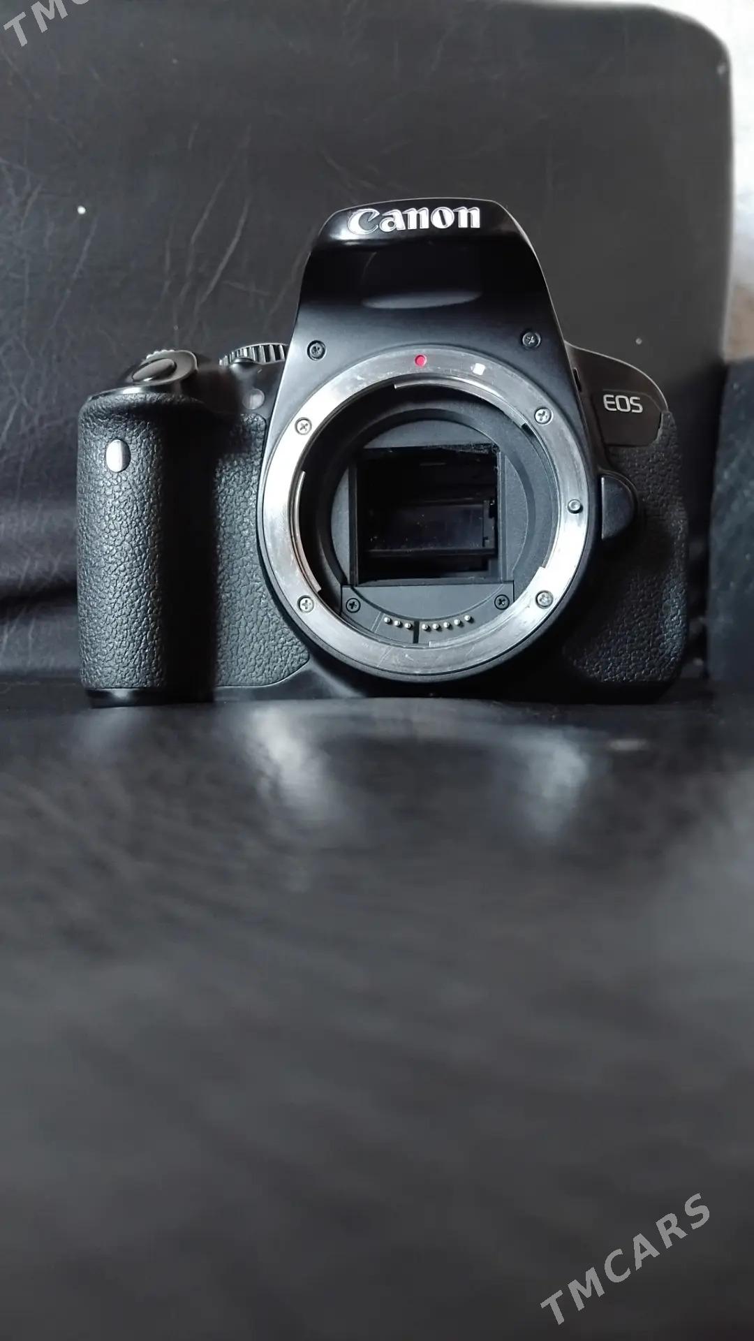 canon - Murgap - img 2