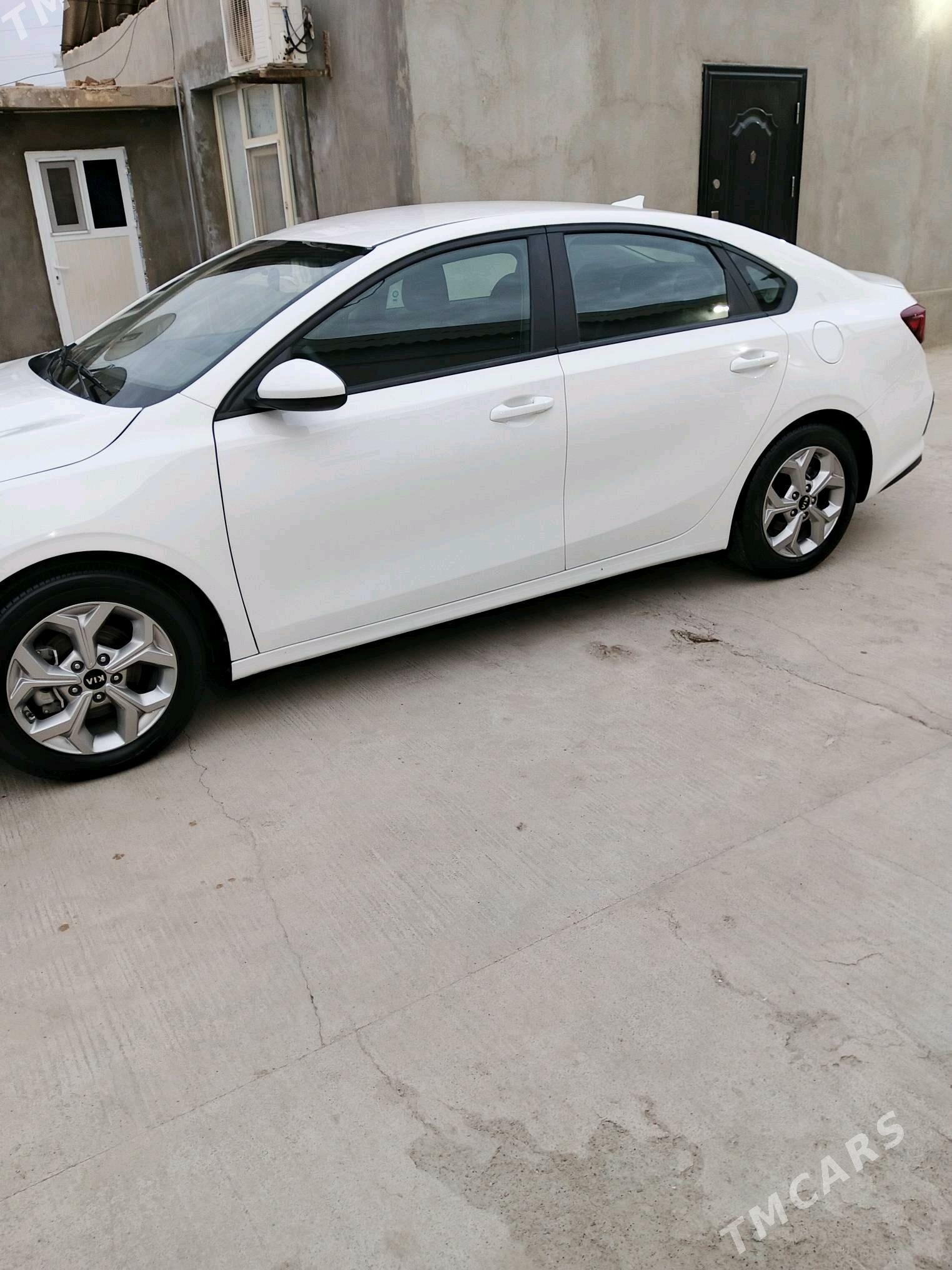 şafýor+woditel - Aşgabat - img 2