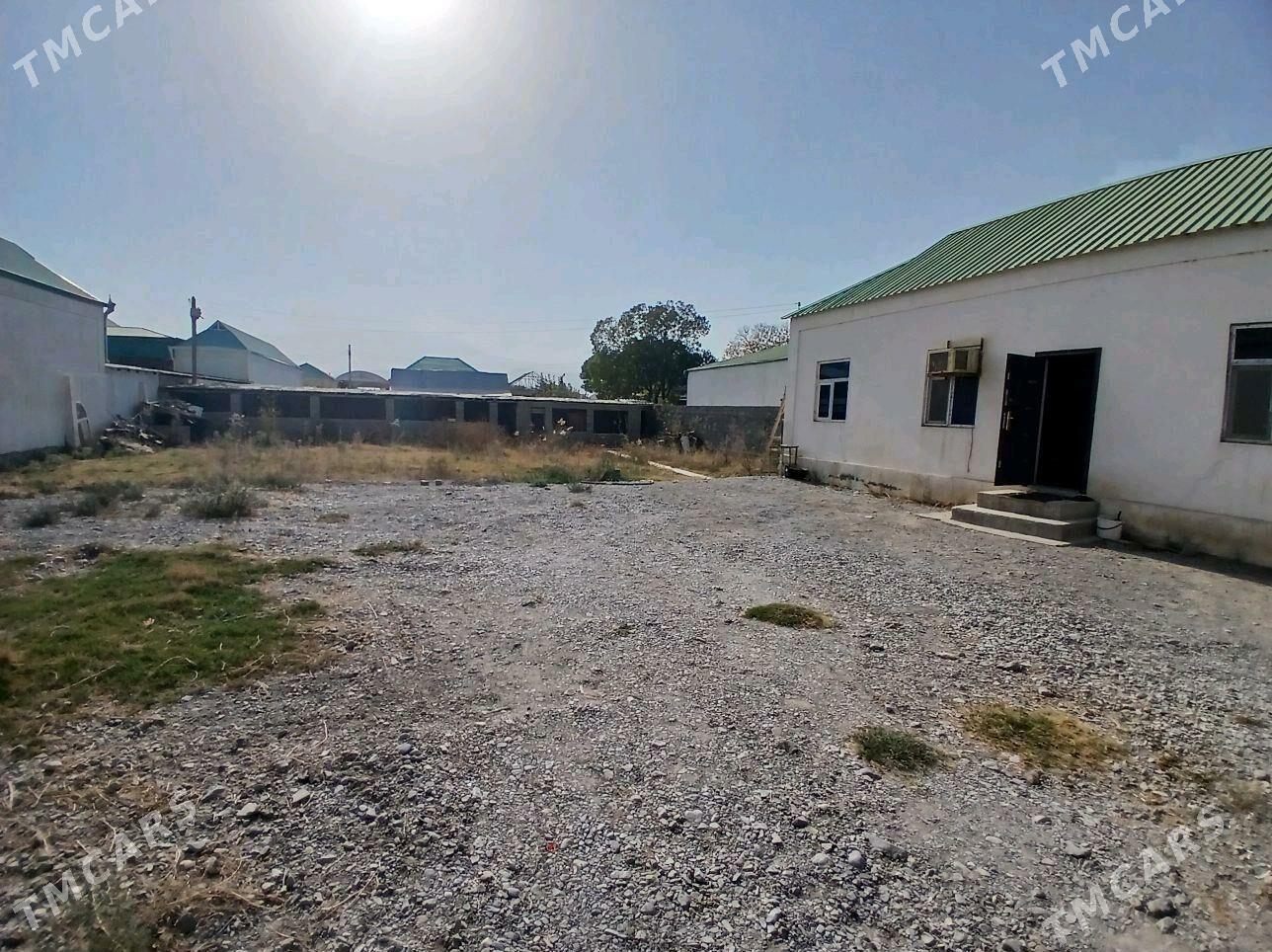 Gokdepe jay - Gökdepe - img 2