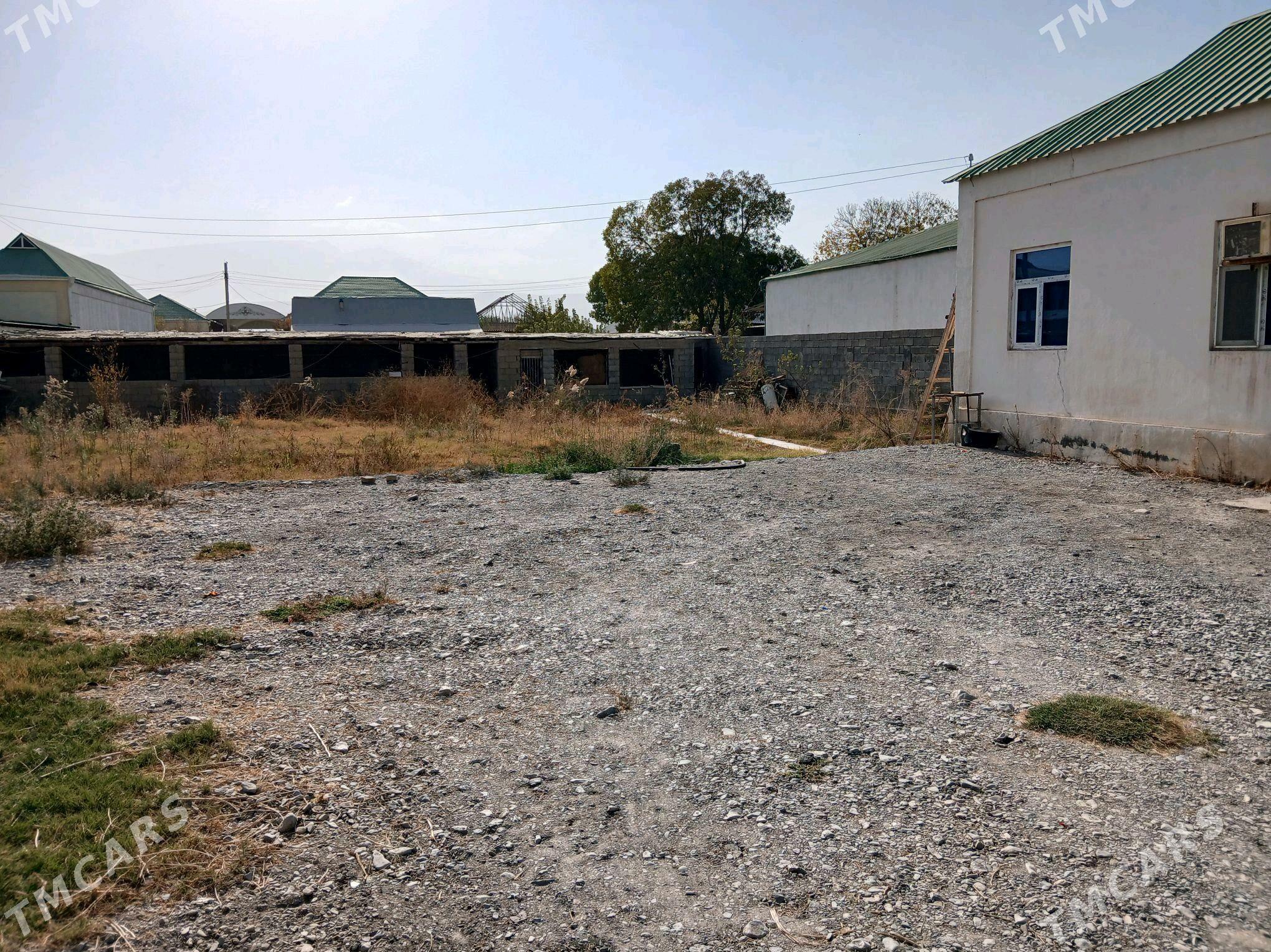 Gokdepe jay - Gökdepe - img 3