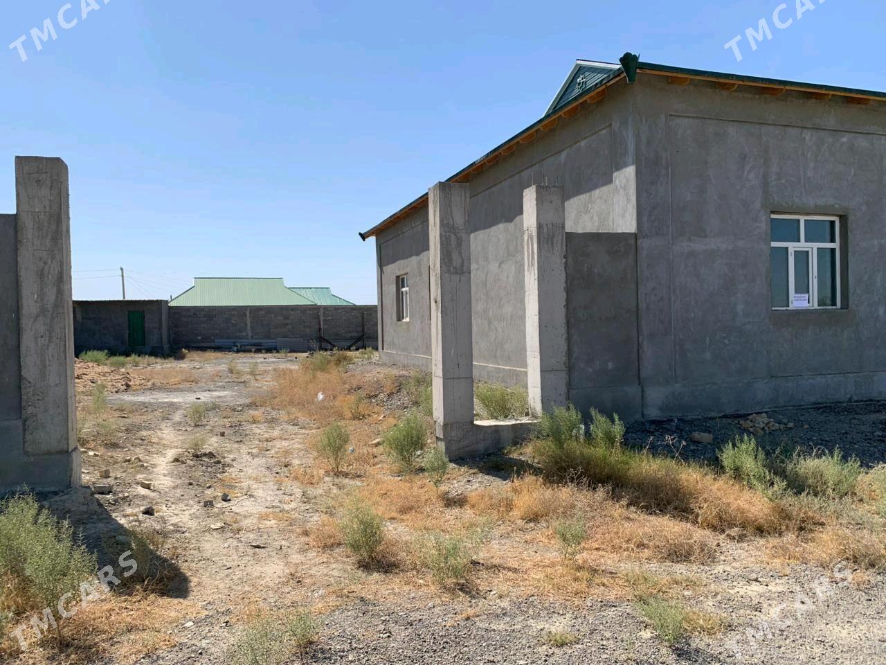 Gokdepe jay - Gökdepe - img 1