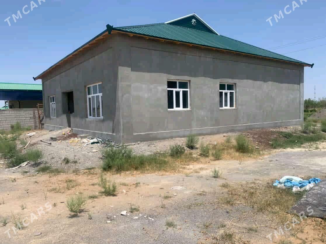 Gokdepe jay - Gökdepe - img 2