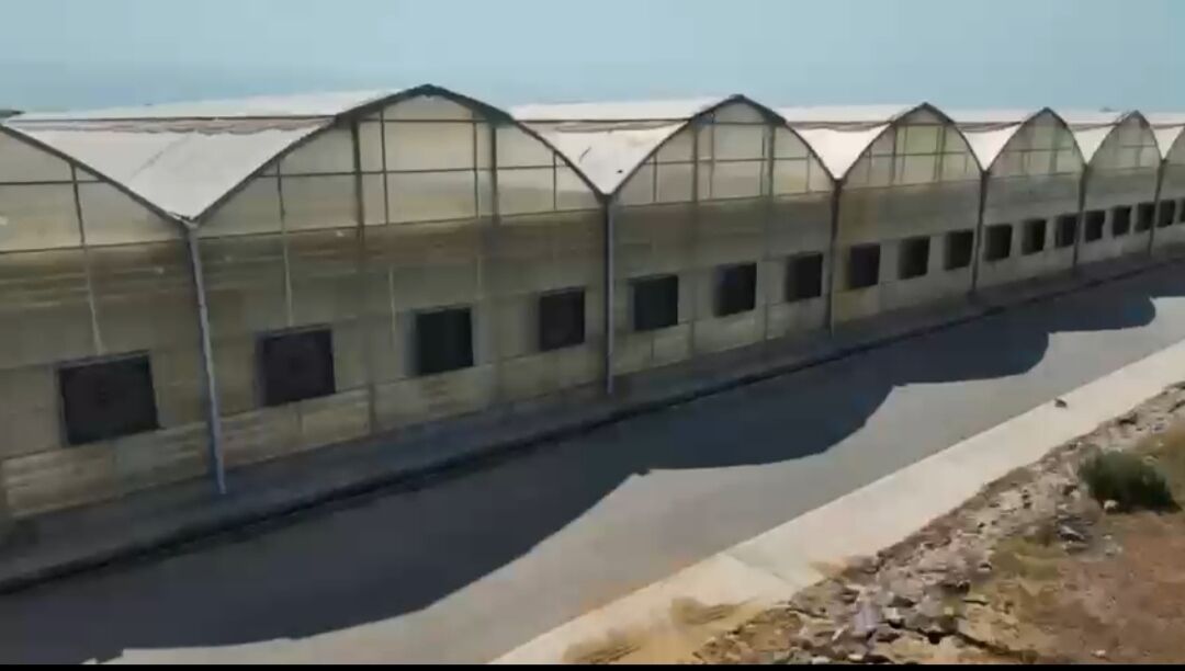 Ýyladyşhana Teplisa Теплица - Ак-Бугдайский этрап - img 1