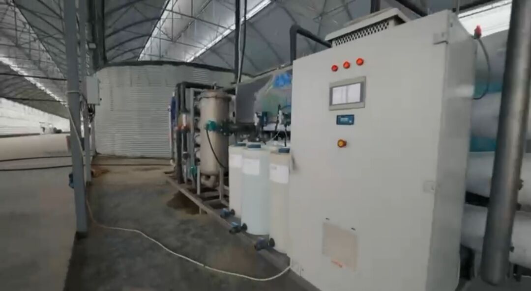 Ýyladyşhana Teplisa Теплица - Ак-Бугдайский этрап - img 6