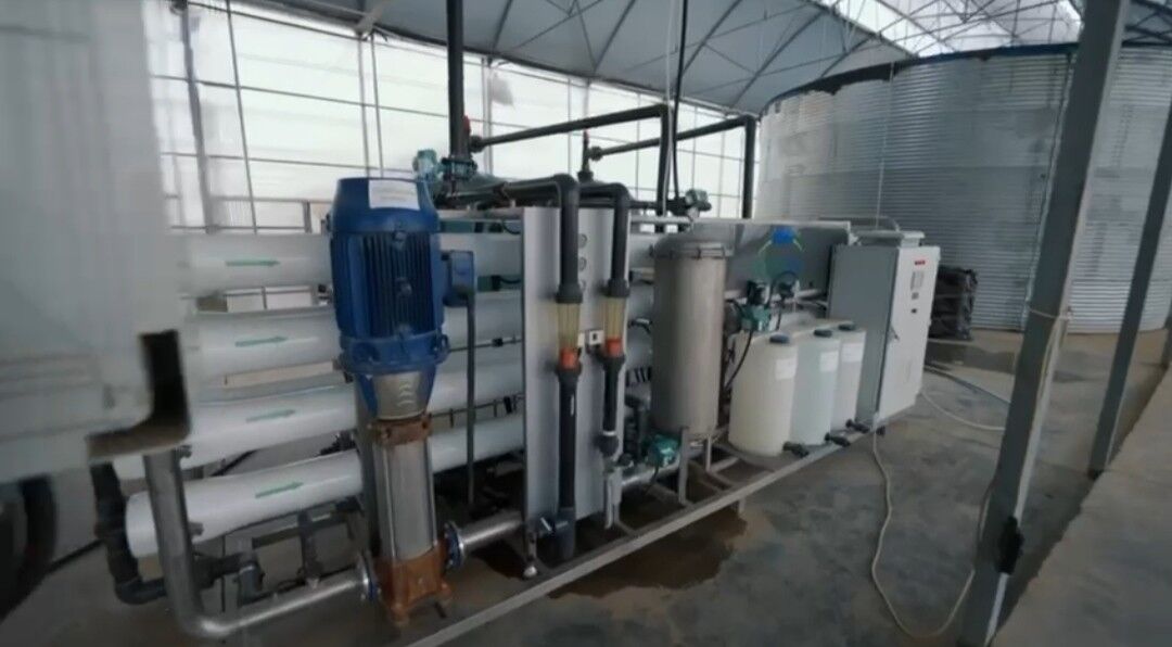 Ýyladyşhana Teplisa Теплица - Ак-Бугдайский этрап - img 7