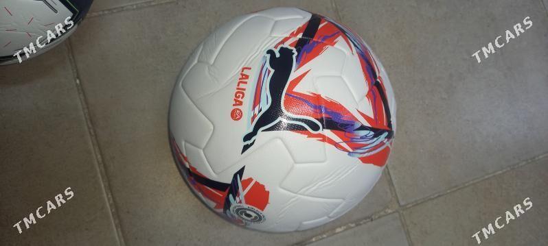 Top - Мир 7 - img 2