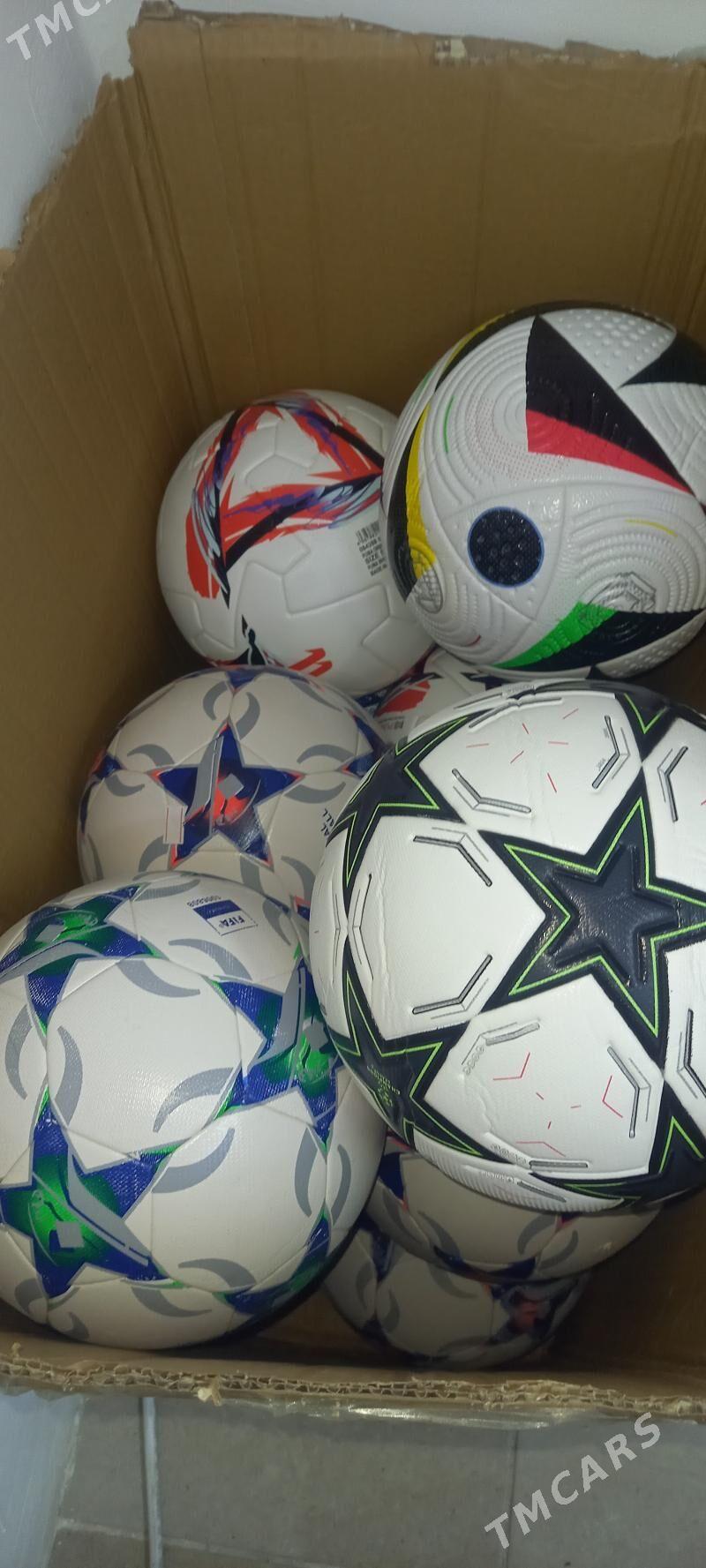 Top - Мир 7 - img 6