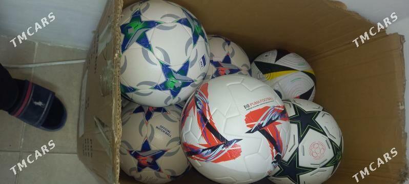 Top - Мир 7 - img 5