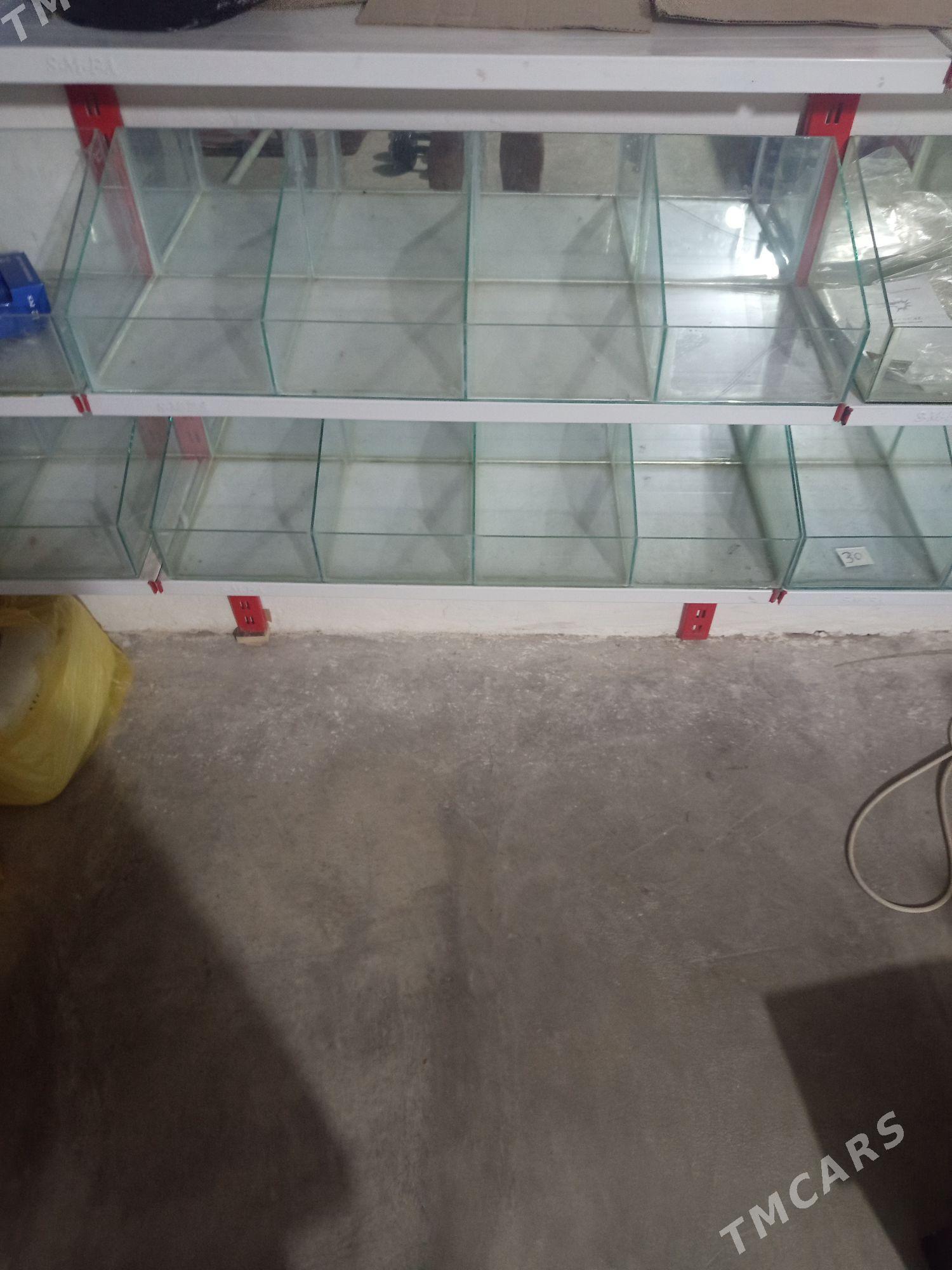 ayna polkasy - Balkanabat - img 3