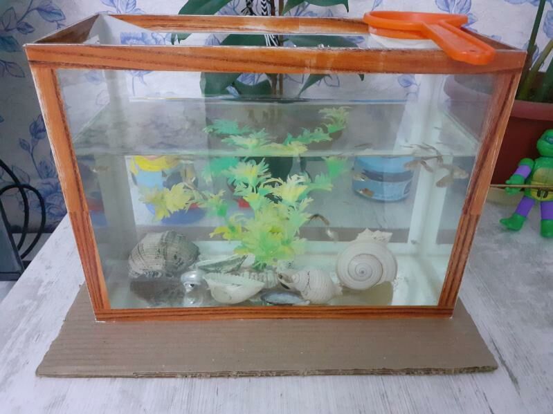 akwarum - Туркменбаши - img 3