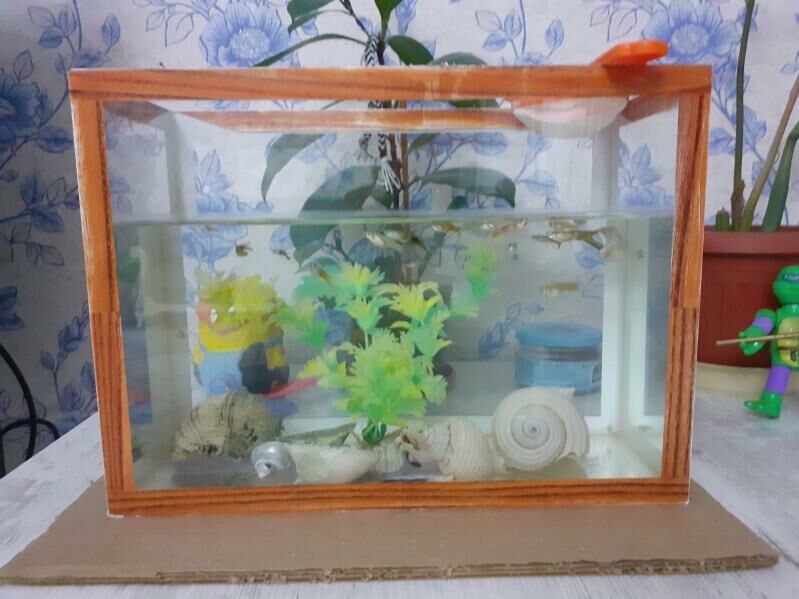 akwarum - Туркменбаши - img 2