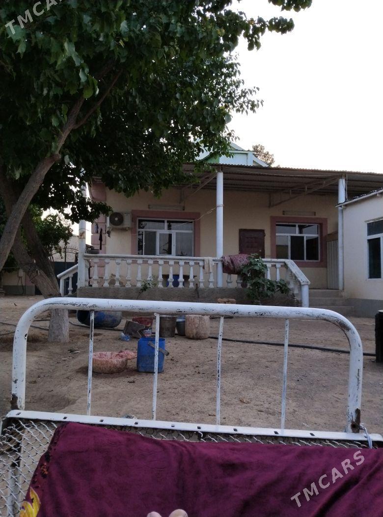 aeroport daça - Türkmenbaşy - img 7