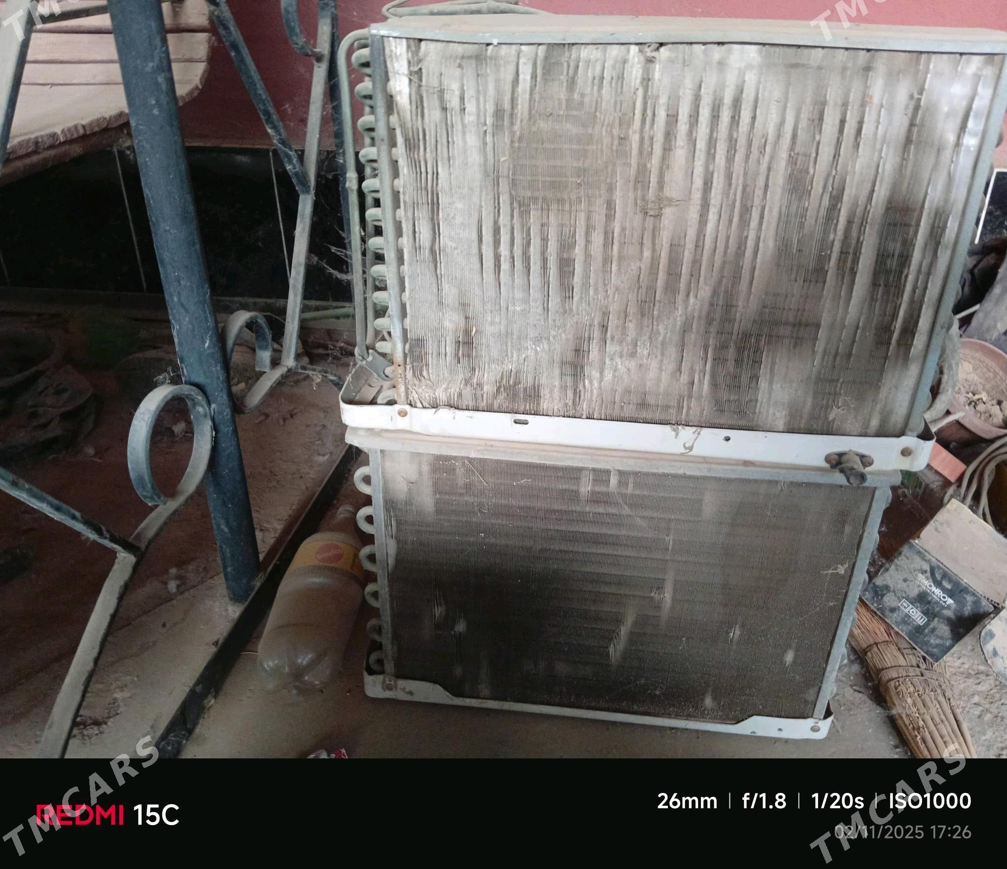 kansaner - Tejen - img 2