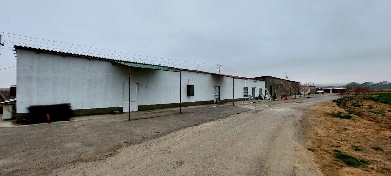 Anew 9 gektar önümçilik - Änew - img 3