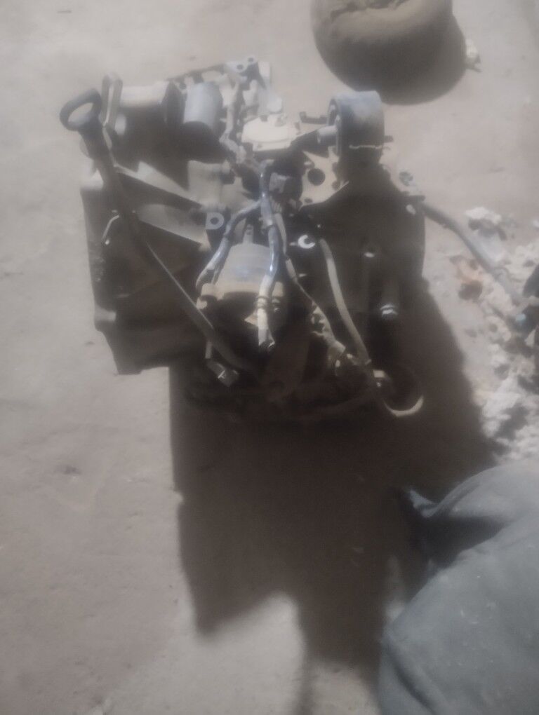 Nisan maksima 2 000 TMT - Kaka - img 3