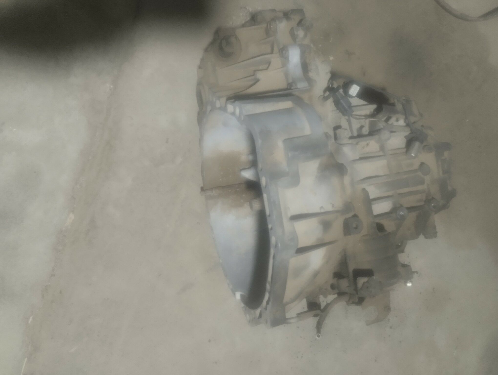 Nisan maksima 2 000 TMT - Kaka - img 6