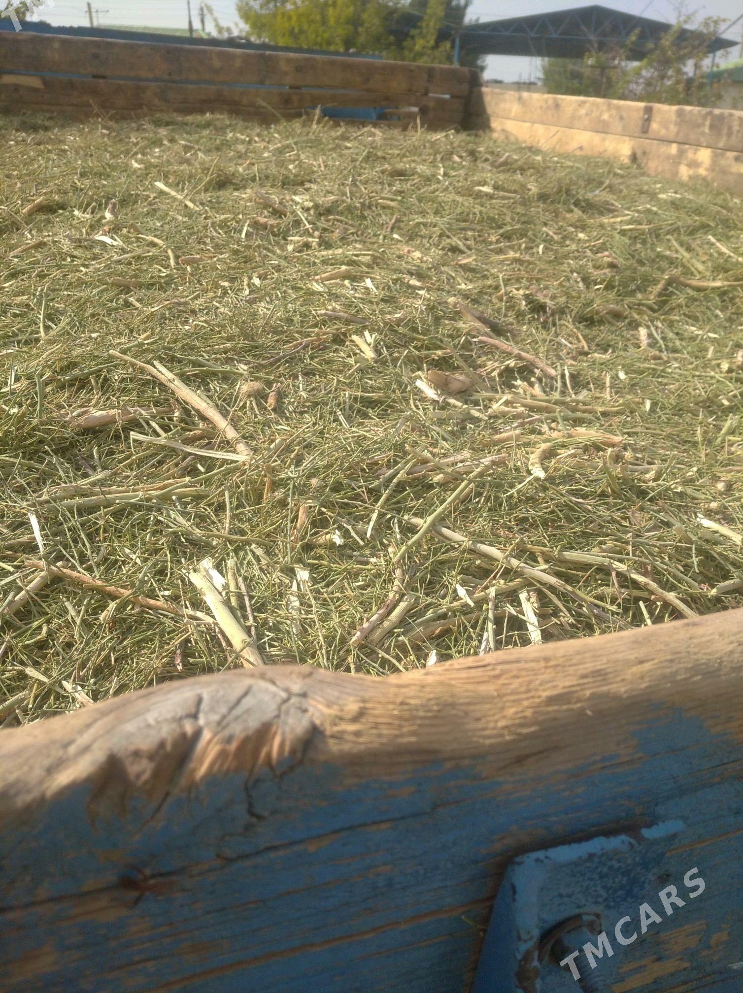 yannak - Гёкдепе - img 1