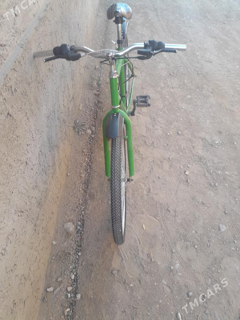 tigir - Gumdag - img 2