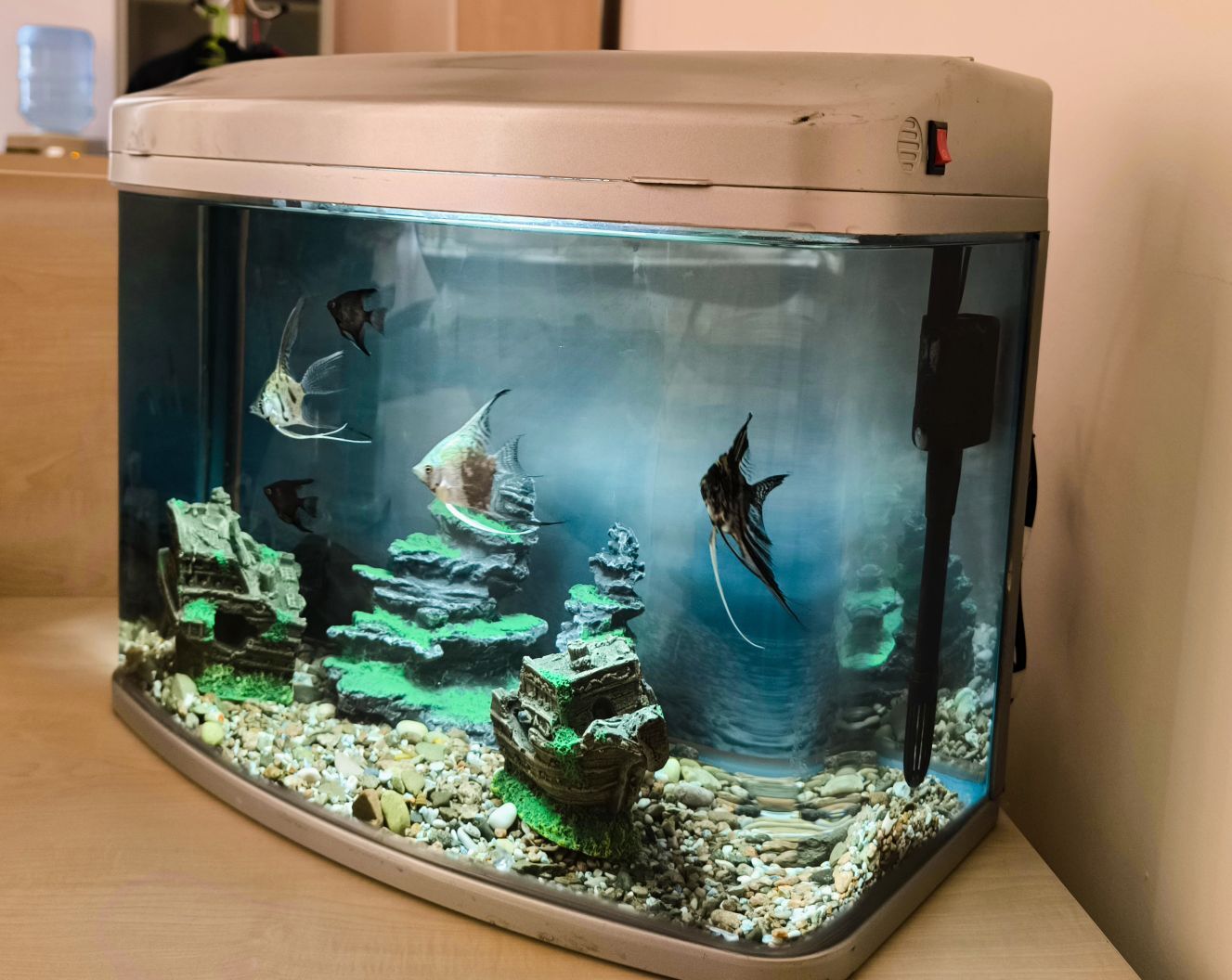 Akwarium Аквариум - Ашхабад - img 2